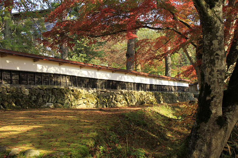 円蔵寺の境内にある紅葉スポット。いい写真が撮れます。