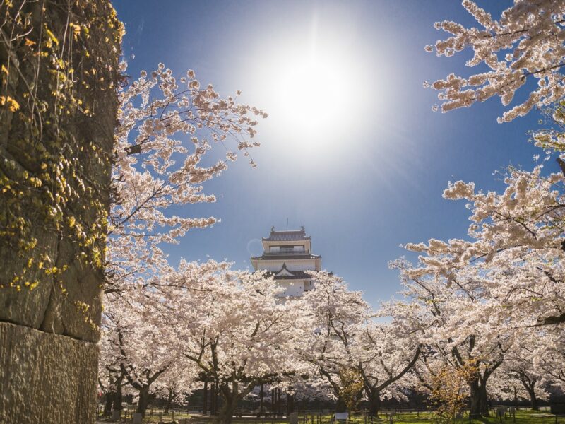 春の鶴ヶ城