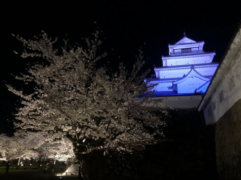 2021年4月5日鶴ヶ城と桜のライトアップ