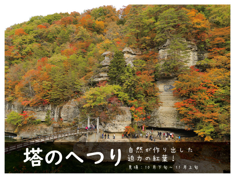 秋の紅葉シーズンにおすすめドライブルート 首都圏からの紅葉ドライブ